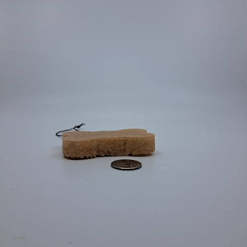 Bone Freshie
