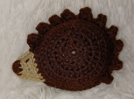 Hedgehog Ragdoll