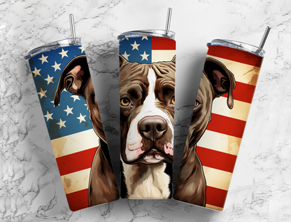 American Flags