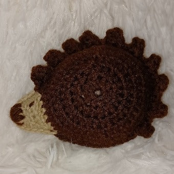 Hedgehog Ragdoll